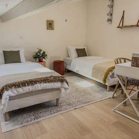 Duplex Lumineux 2 Centre Zone Pietonne Apartment *