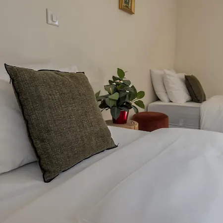 Duplex Lumineux 2 Centre Zone Piétonne, Parking Gratuit 4 Minutes De Marche Appartement
