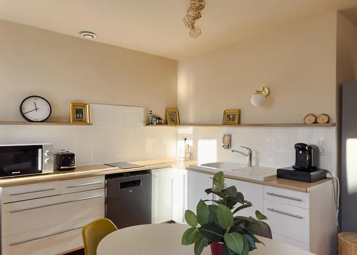 Duplex Lumineux 2 Centre Zone Pietonne